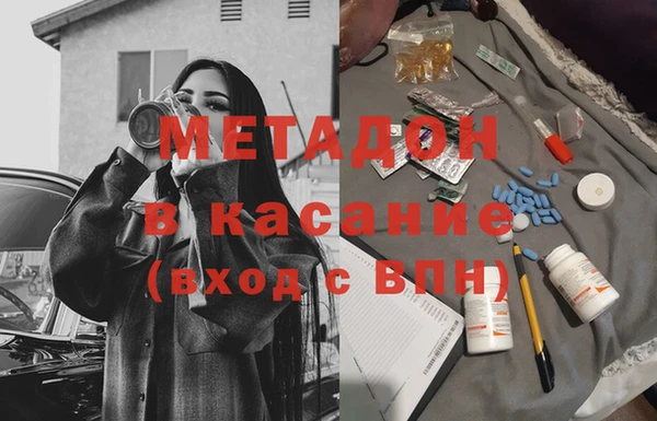 прущие грибы Медвежьегорск