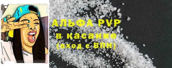 прущие грибы Медвежьегорск