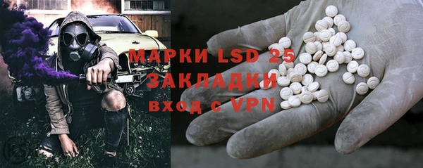 прущие грибы Медвежьегорск