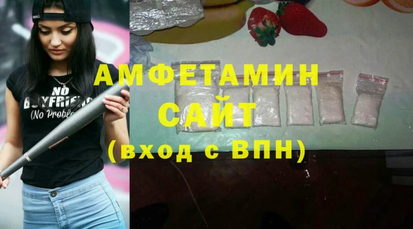 прущие грибы Медвежьегорск