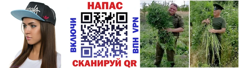 omg tor  Дегтярск  Бошки Шишки LSD WEED 
